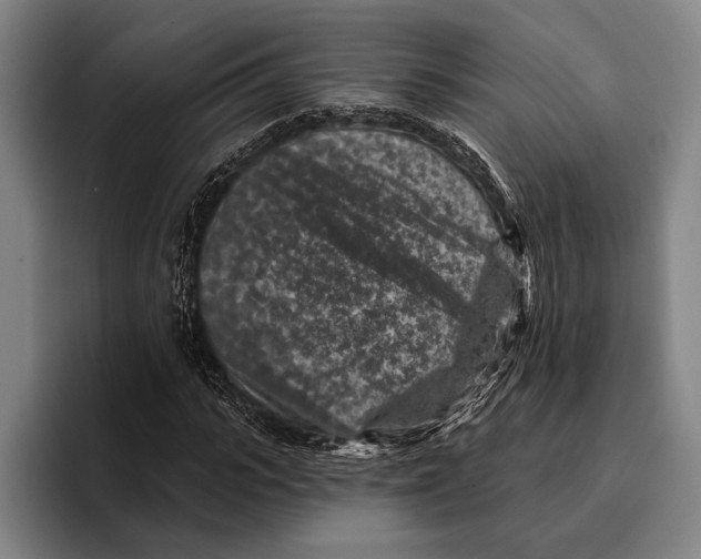 X0000096130919200802151311