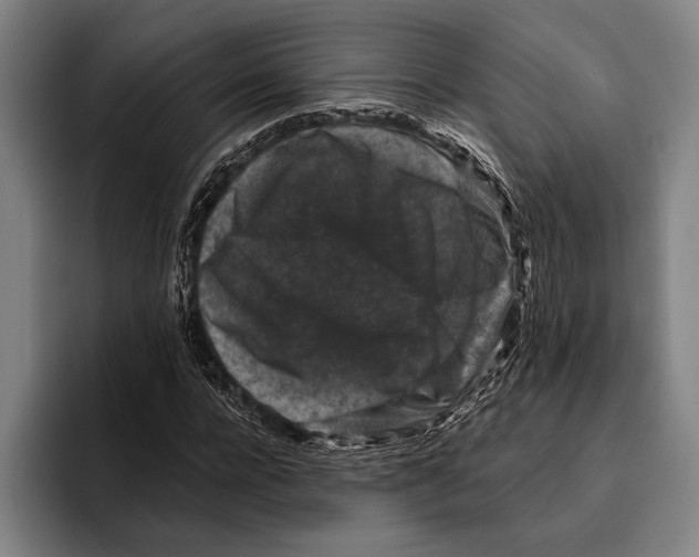 X0000096130920200802151311