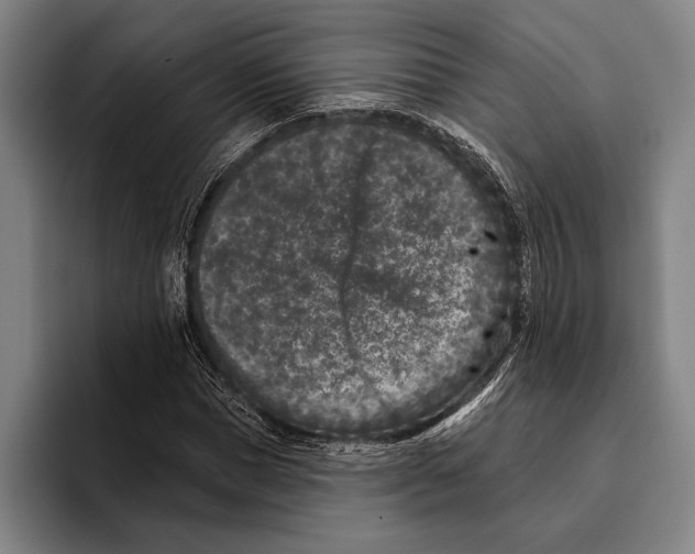 X0000096130921200802151311