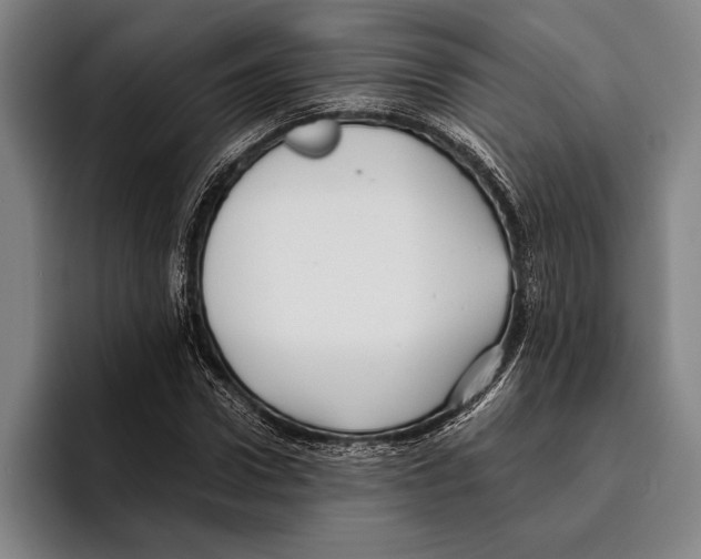 X0000096130922200802151311