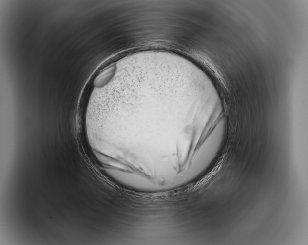 X0000096130924200802151311