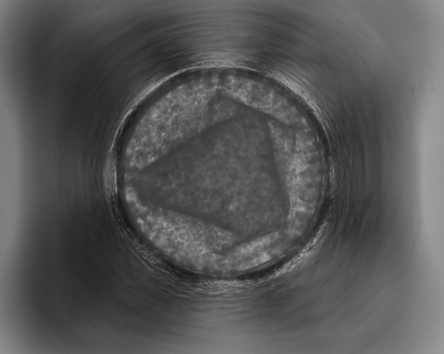 X0000096130925200802151311