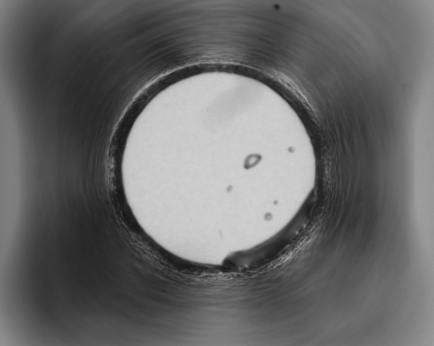 X0000096130926200802151311