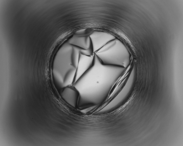 X0000096130930200802151311