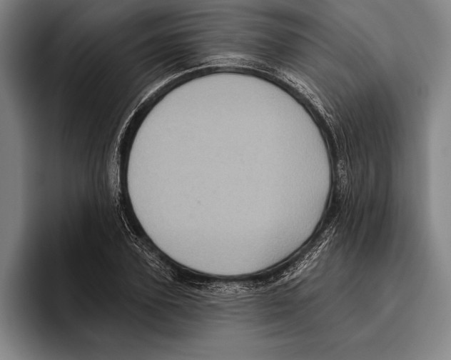 X0000096130931200802151311