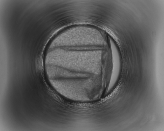 X0000096130934200802151311