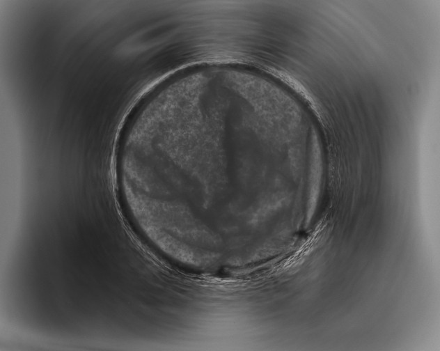 X0000096130935200802151311