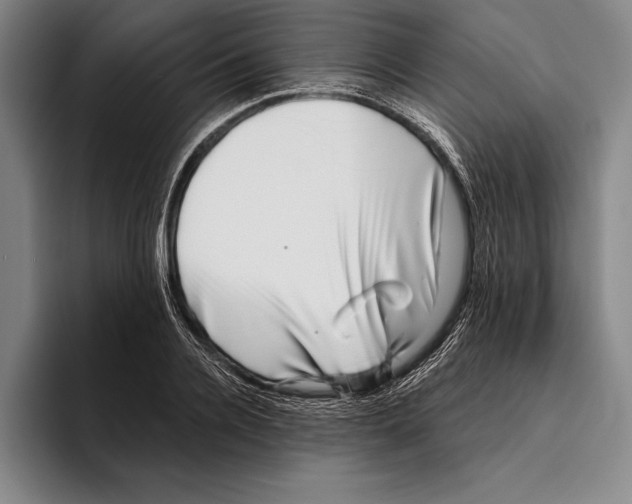 X0000096130936200802151311