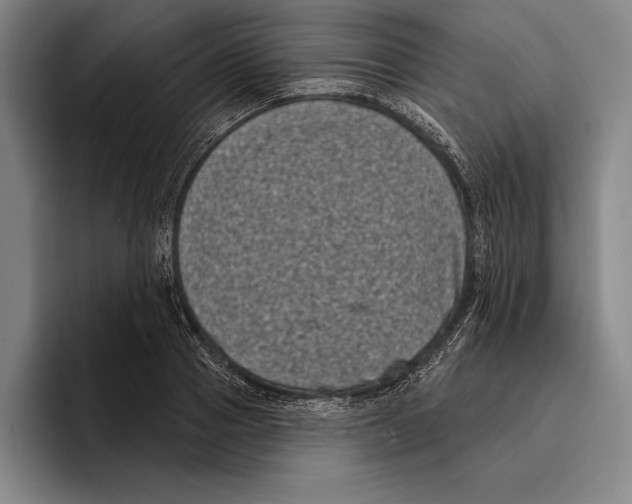 X0000096130937200802151311