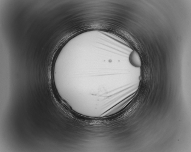 X0000096130938200802151311