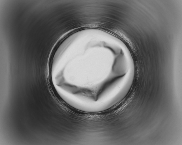 X0000096130940200802151311