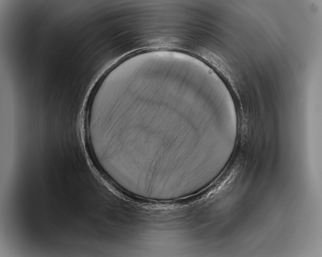 X0000096130941200802151311