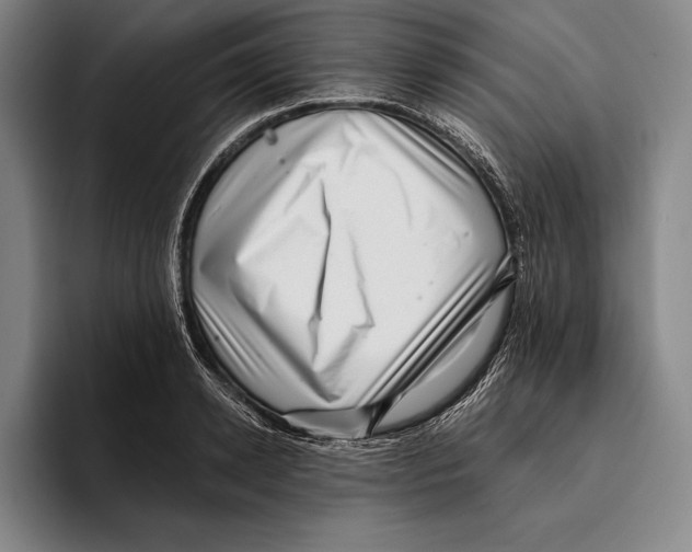 X0000096130942200802151311