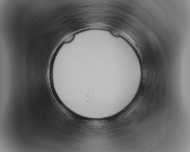 X0000096130947200802151311