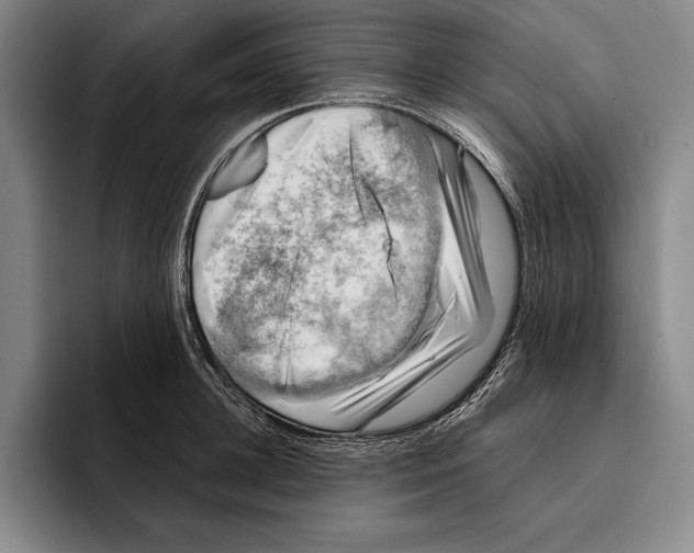 X0000096130948200802151311