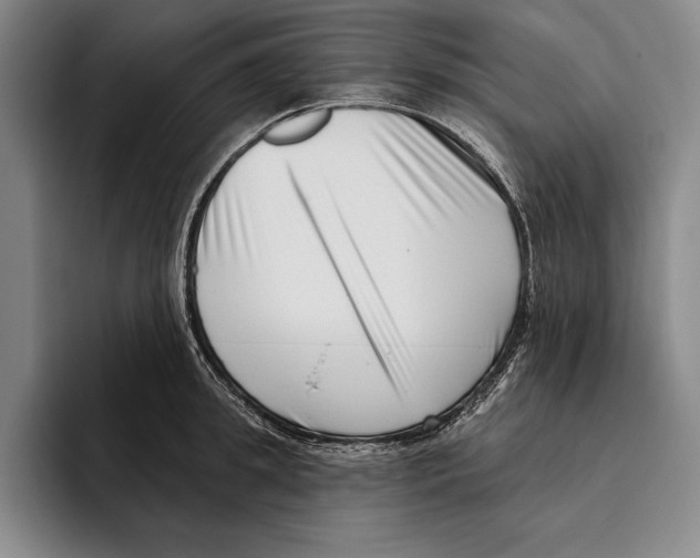 X0000096130949200802151311