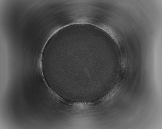 X0000096130950200802151311