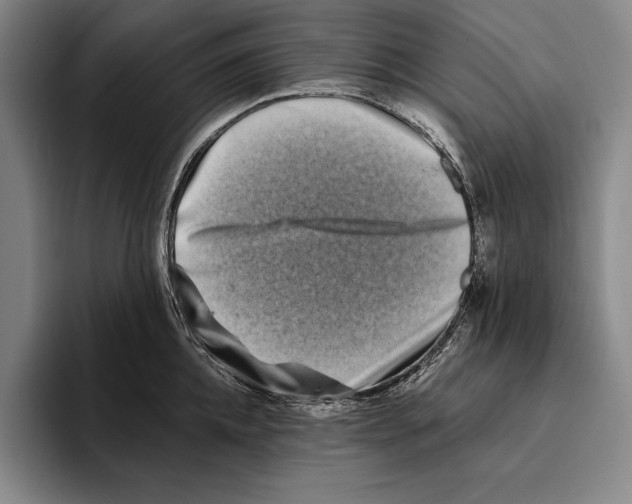 X0000096130952200802151311