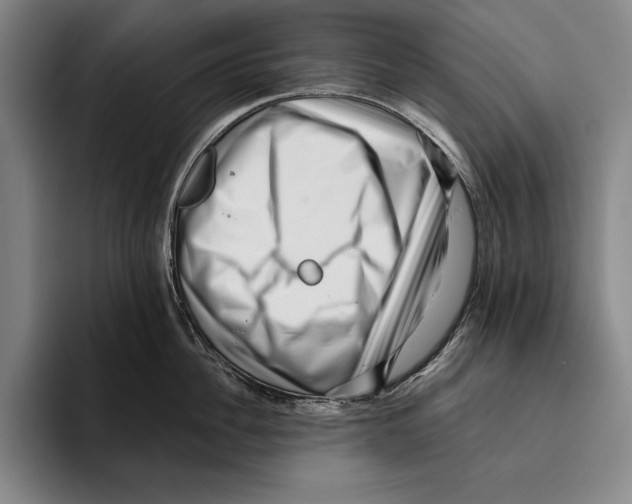 X0000096130956200802151311