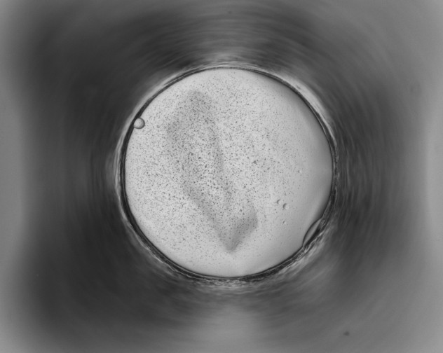 X0000096130957200802151311