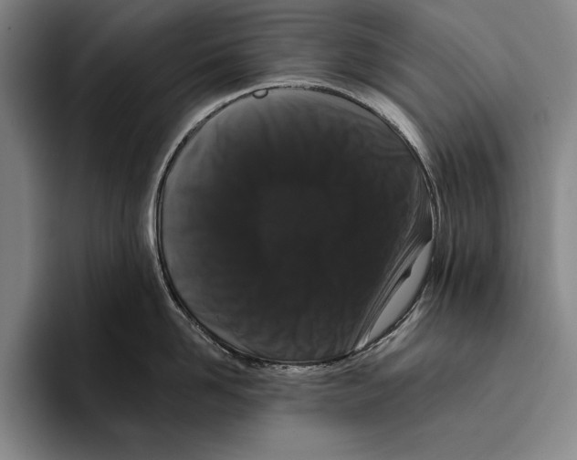 X0000096130958200802151311