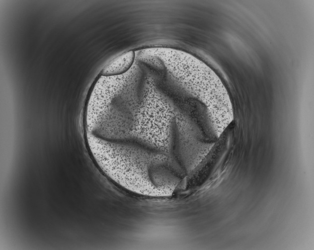 X0000096130959200802151311