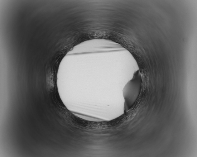 X0000096130962200802151310