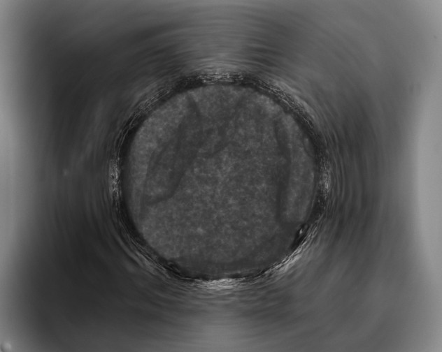 X0000096130964200802151310