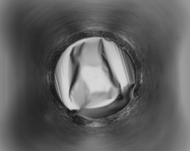 X0000096130965200802151310