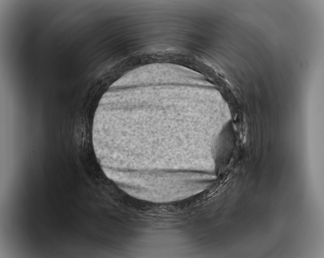 X0000096130966200802151310