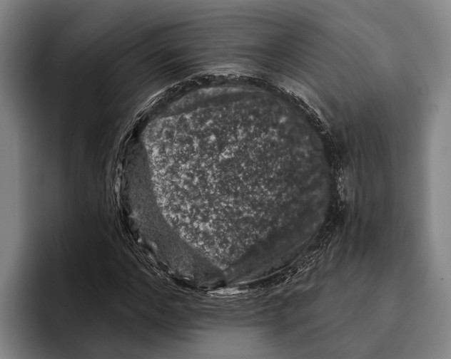 X0000096130968200802151310