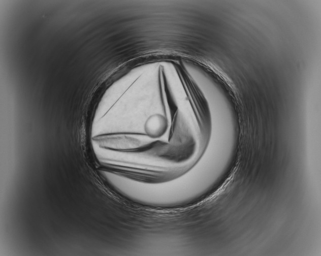 X0000096130969200802151310