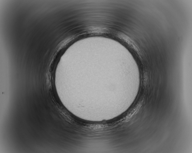 X0000096130970200802151310