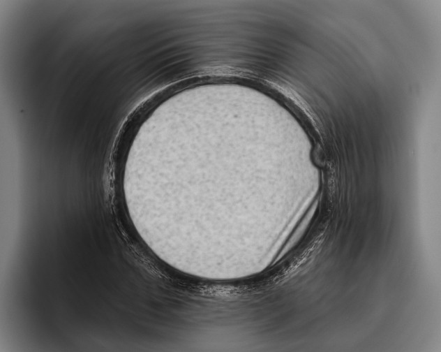 X0000096130971200802151310