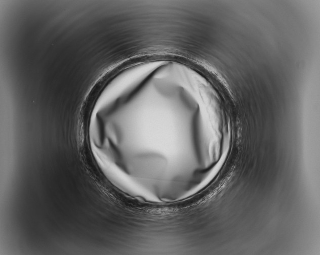 X0000096130973200802151310