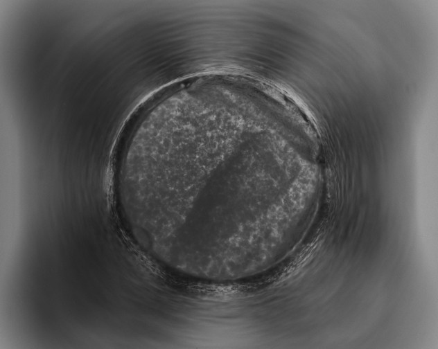 X0000096130975200802151310