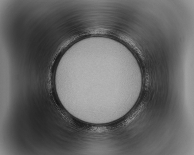 X0000096130978200802151310