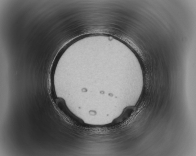 X0000096130980200802151310