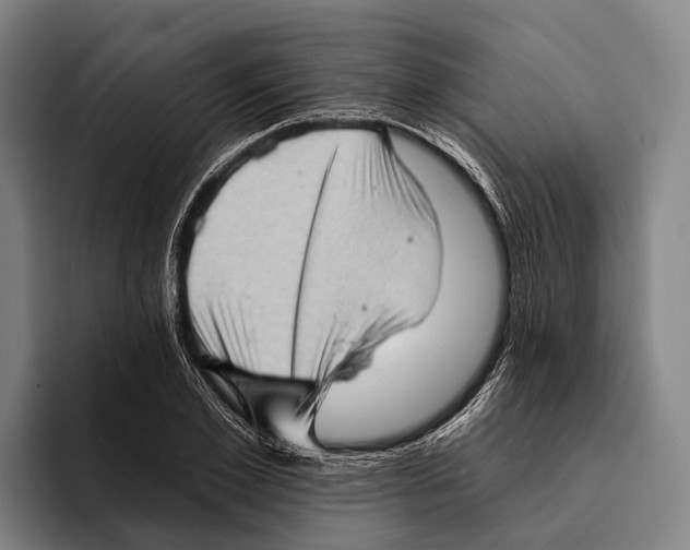 X0000096130981200802151310