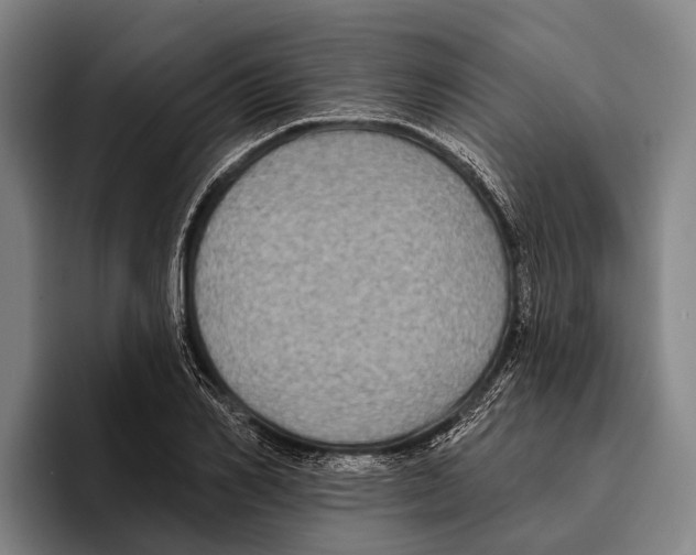 X0000096130982200802151310