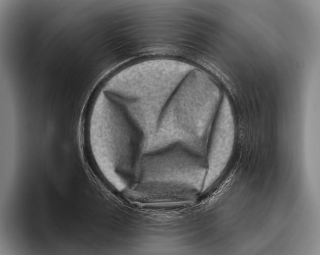 X0000096130983200802151310