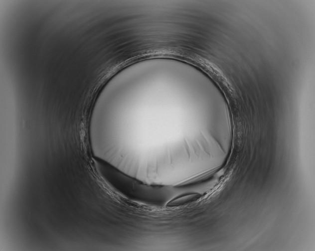 X0000096130985200802151310