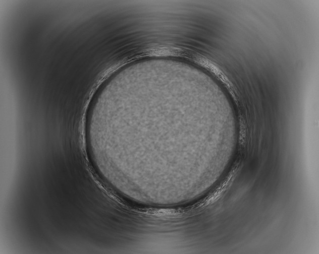 X0000096130986200802151310