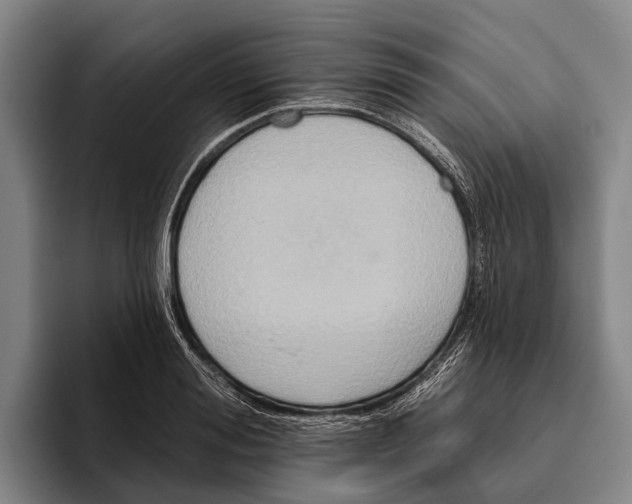 X0000096130988200802151310