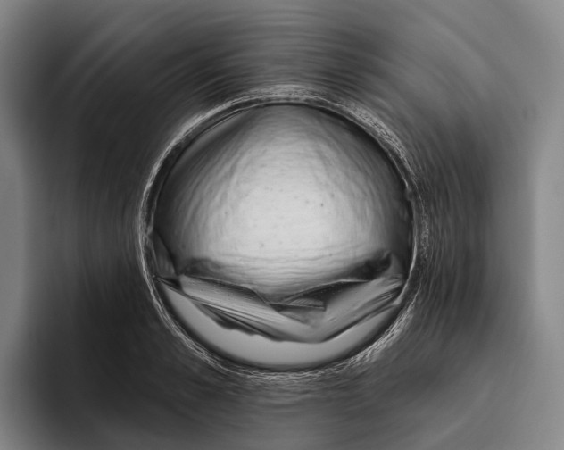 X0000096130989200802151310