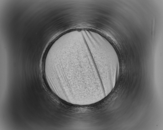 X0000096130990200802151310