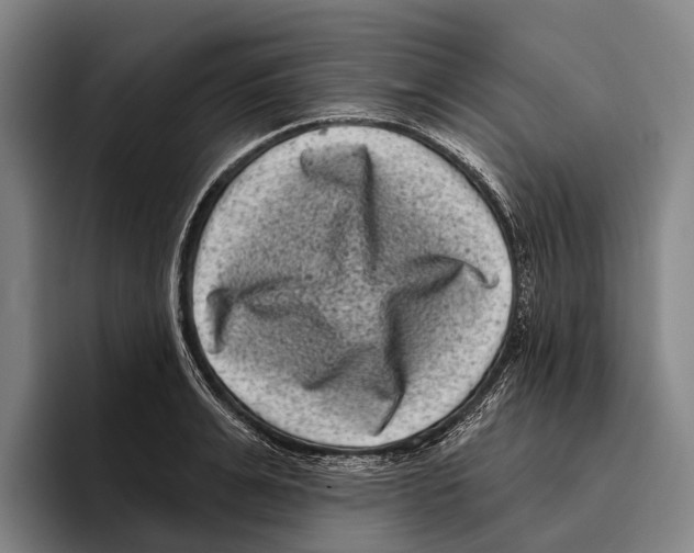 X0000096130991200802151310