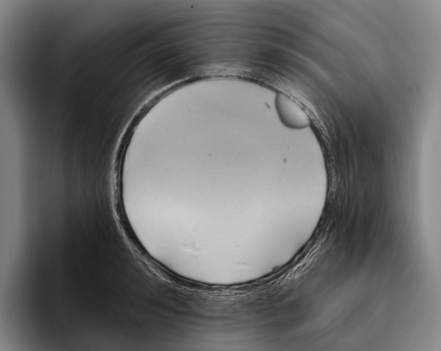 X0000096130992200802151310