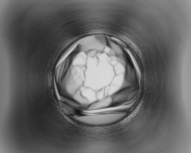 X0000096130993200802151310