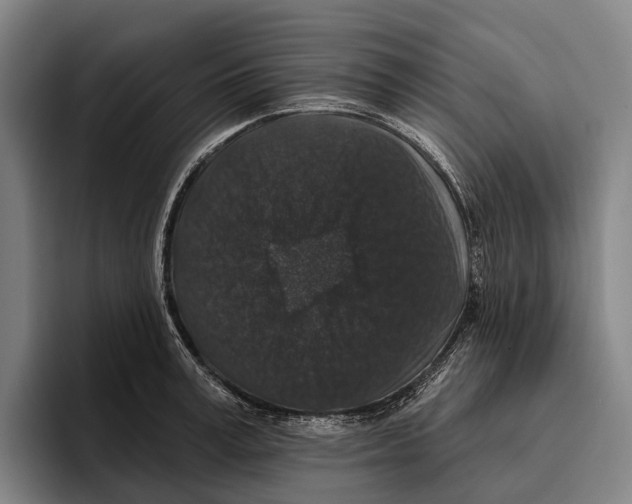 X0000096130995200802151310